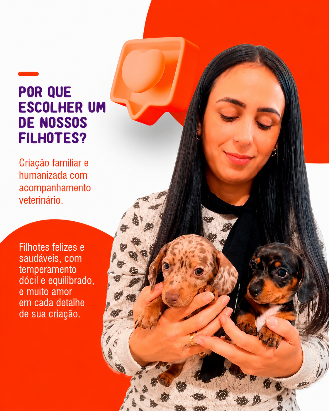 Filhote entregue com atestado de saúde, cartão de vacinação, vermifugação em dia e kit completo