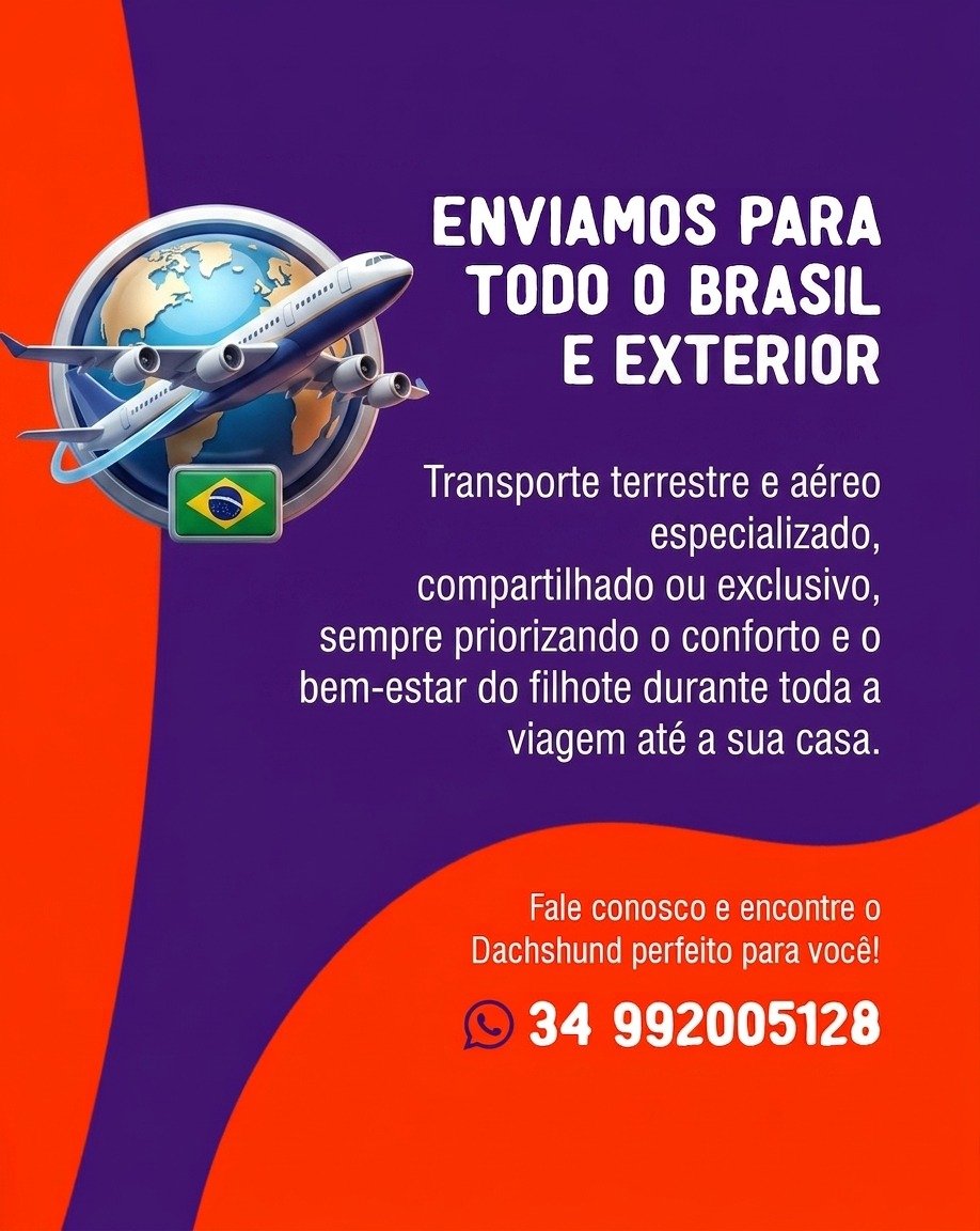 Enviamos para todo o Brasil - transporte terrestre compartilhado ou exclusivo