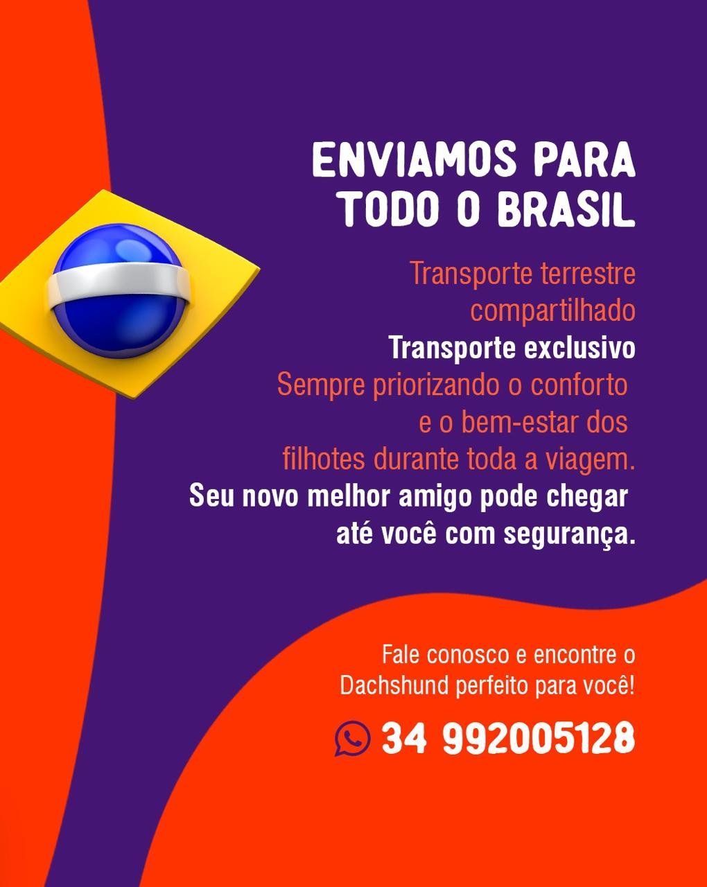 Enviamos para todo o Brasil - transporte terrestre compartilhado ou exclusivo